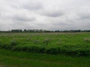 Habitat
